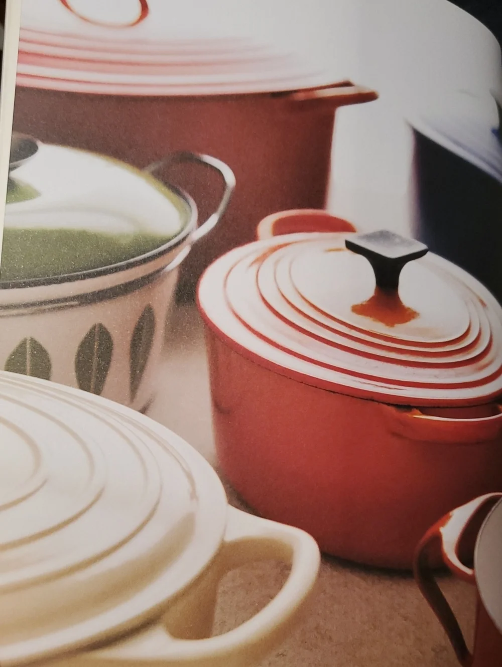 The Dutch Oven Cookbook -‎ Red Dutch Oven Recipes